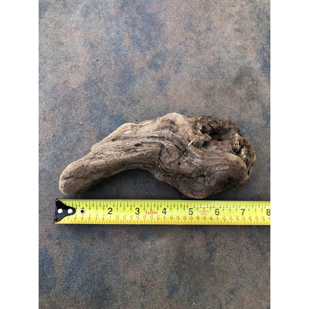 Natural Driftwood for Plants Terrarium Taxidermy Art Projects - Picture 5 of 5